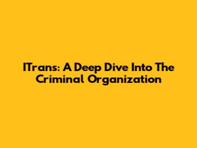 ITrans: A Deep Dive Into The Criminal Organization