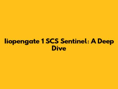 Iiopengate 1 SCS Sentinel: A Deep Dive