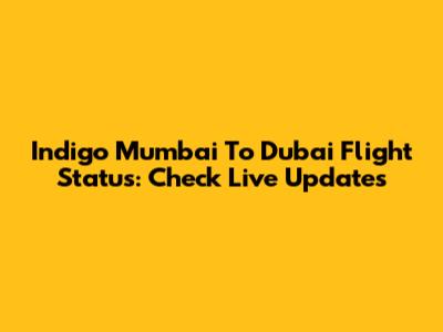 Indigo Mumbai To Dubai Flight Status: Check Live Updates