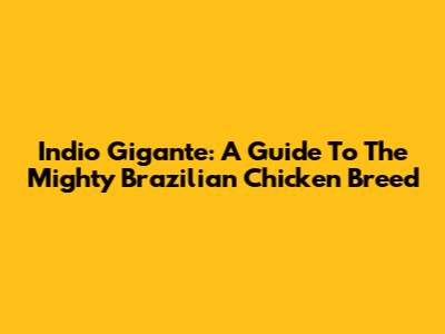 Indio Gigante: A Guide To The Mighty Brazilian Chicken Breed