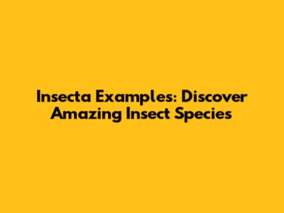 Insecta Examples: Discover Amazing Insect Species