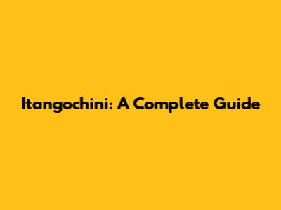 Itangochini: A Complete Guide