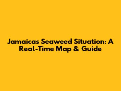Jamaica's Seaweed Situation: A Real-Time Map & Guide