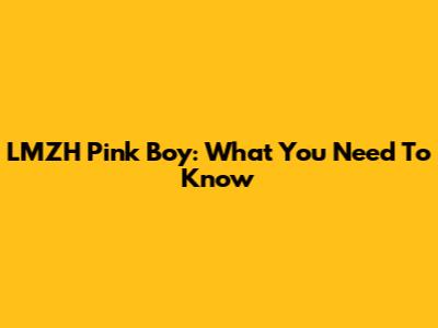 LMZH Pink Boy: What You Need To Know