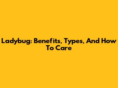Ladybug: Benefits, Types, And How To Care