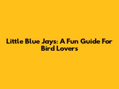Little Blue Jays: A Fun Guide For Bird Lovers