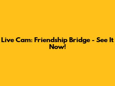 Live Cam: Friendship Bridge - See It Now!