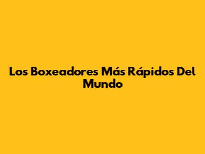 Los Boxeadores Más Rápidos Del Mundo