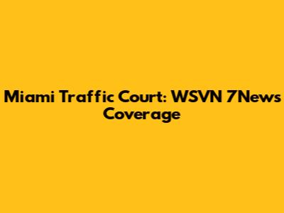 Miami Traffic Court: WSVN 7News Coverage