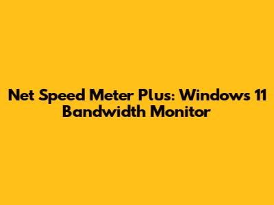 Net Speed Meter Plus: Windows 11 Bandwidth Monitor