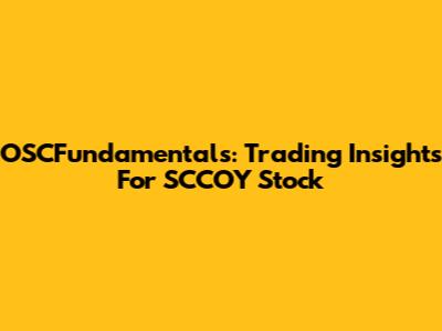 OSCFundamentals: Trading Insights For SCCOY Stock