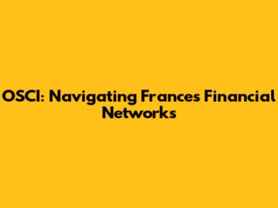 OSCI: Navigating France's Financial Networks