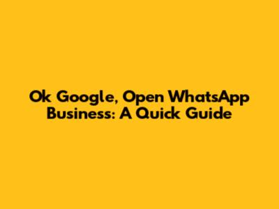 Ok Google, Open WhatsApp Business: A Quick Guide