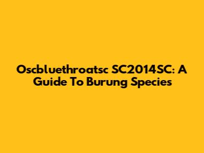 Oscbluethroatsc SC2014SC: A Guide To Burung Species