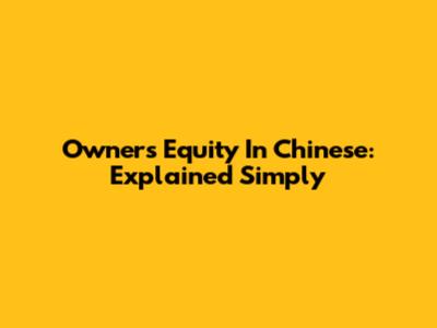 Owner's Equity In Chinese: Explained Simply