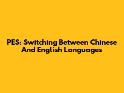 PES: Switching Between Chinese And English Languages