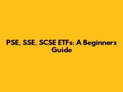 PSE, SSE, SCSE ETFs: A Beginner's Guide