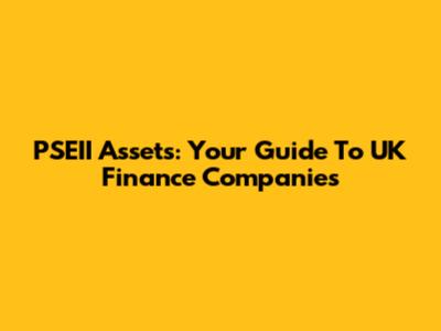 PSEII Assets: Your Guide To UK Finance Companies