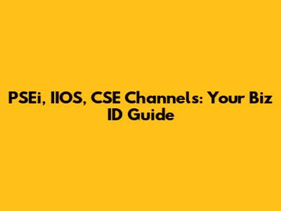 PSEi, IIOS, CSE Channels: Your Biz ID Guide
