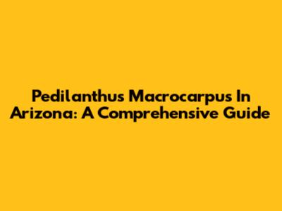 Pedilanthus Macrocarpus In Arizona: A Comprehensive Guide