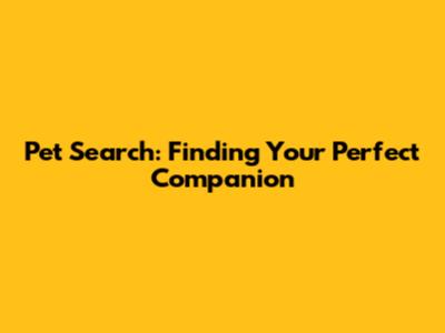 Pet Search: Finding Your Perfect Companion