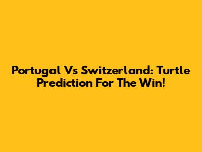 Portugal Vs Switzerland: Turtle Prediction For The Win!