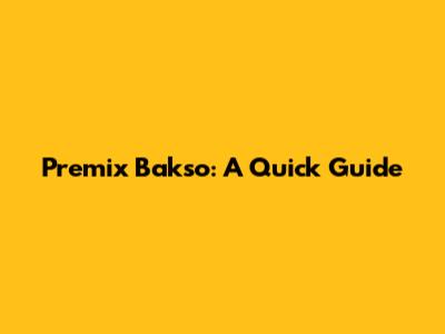 Premix Bakso: A Quick Guide