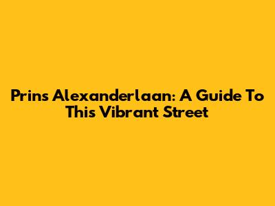 Prins Alexanderlaan: A Guide To This Vibrant Street