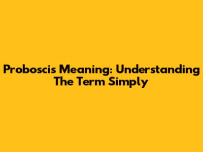 Proboscis Meaning: Understanding The Term Simply