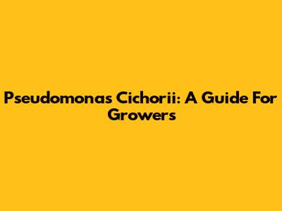 Pseudomonas Cichorii: A Guide For Growers