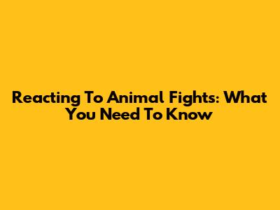 Reacting To Animal Fights: What You Need To Know