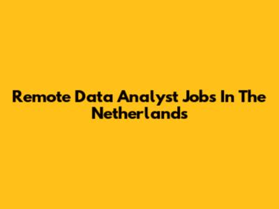 Remote Data Analyst Jobs In The Netherlands