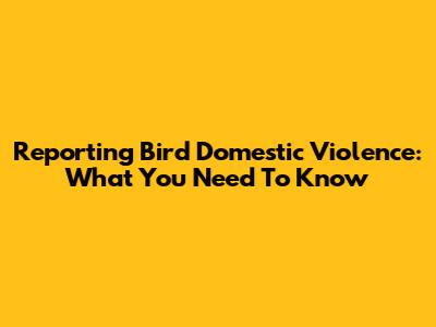Reporting Bird Domestic Violence: What You Need To Know