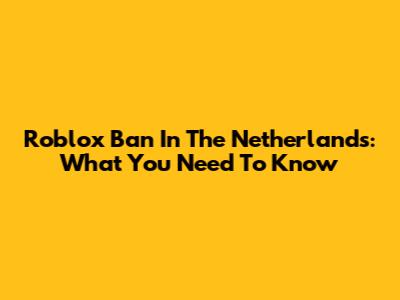 Roblox Ban In The Netherlands: What You Need To Know