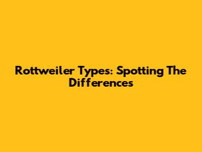 Rottweiler Types: Spotting The Differences