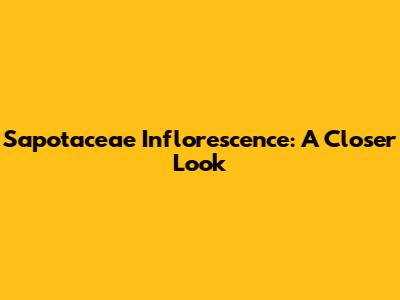 Sapotaceae Inflorescence: A Closer Look