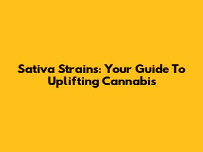 Sativa Strains: Your Guide To Uplifting Cannabis