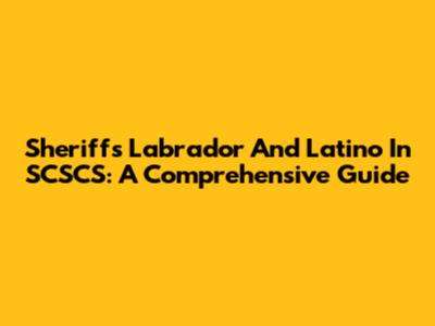 Sheriff's Labrador And Latino In SCSCS: A Comprehensive Guide