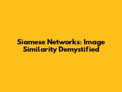 Siamese Networks: Image Similarity Demystified