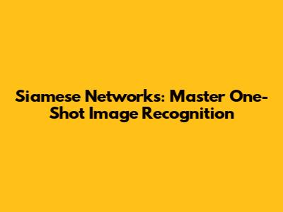 Siamese Networks: Master One-Shot Image Recognition