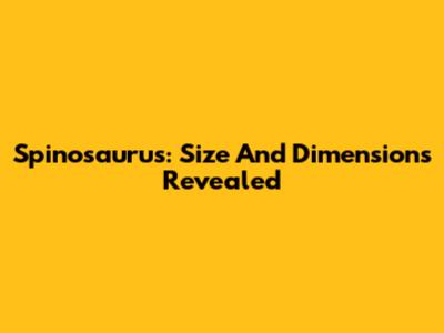 Spinosaurus: Size And Dimensions Revealed