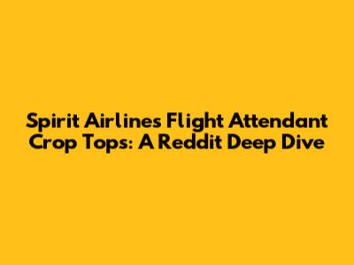 Spirit Airlines Flight Attendant Crop Tops: A Reddit Deep Dive