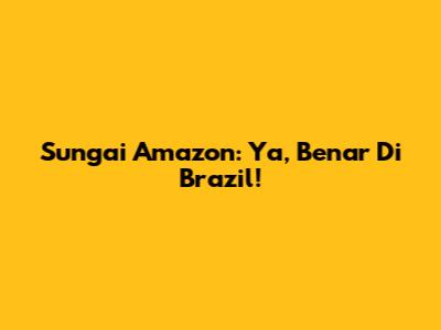 Sungai Amazon: Ya, Benar Di Brazil!