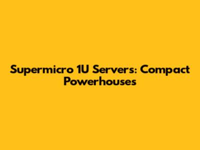 Supermicro 1U Servers: Compact Powerhouses