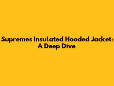 Supreme's Insulated Hooded Jacket: A Deep Dive