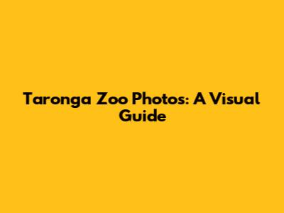 Taronga Zoo Photos: A Visual Guide
