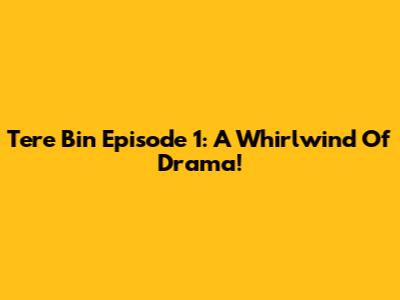 Tere Bin Episode 1: A Whirlwind Of Drama!