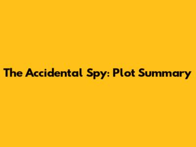 The Accidental Spy: Plot Summary