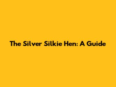 The Silver Silkie Hen: A Guide