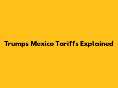 Trump's Mexico Tariffs Explained